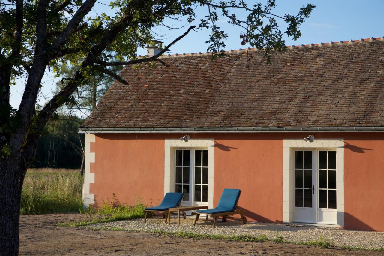 Domaine De La Trigaliere Villa Ambillou Kültér fotó